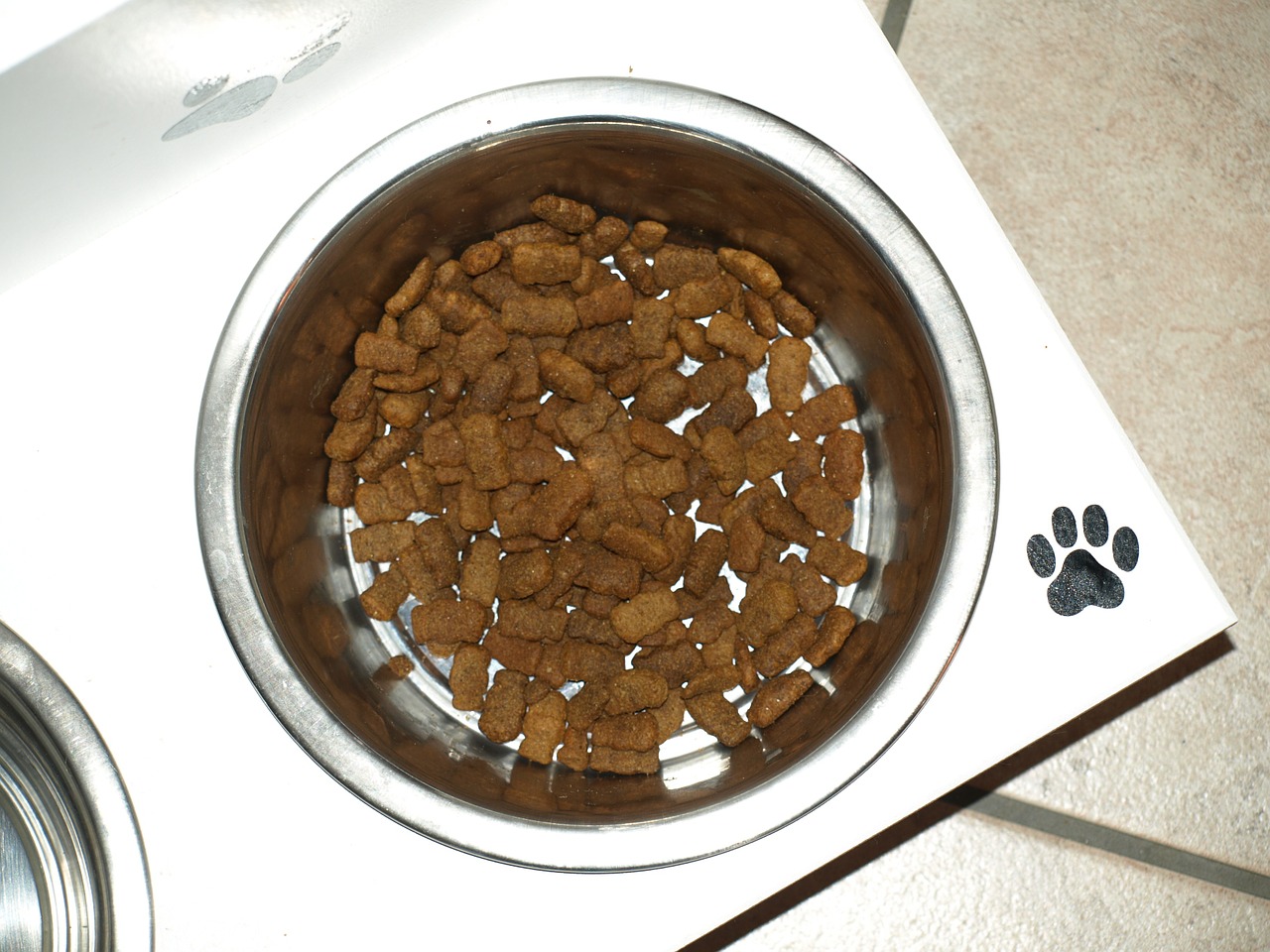 Best Dog Food For Adult German Shepherd Dogs Reviews &amp; Buyer�s Guide