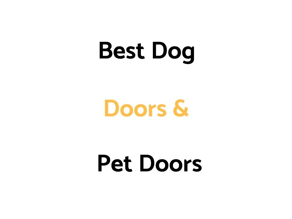 Best Dog Doors & Pet Doors