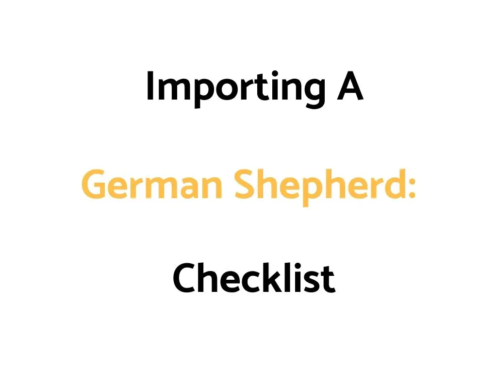Importing A German Shepherd: Important Things To Know + Checklist