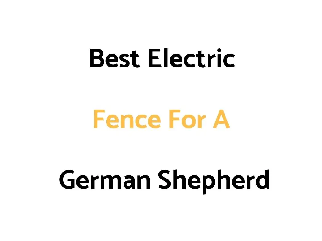 Best Electric Dog Fence For A German Shepherd