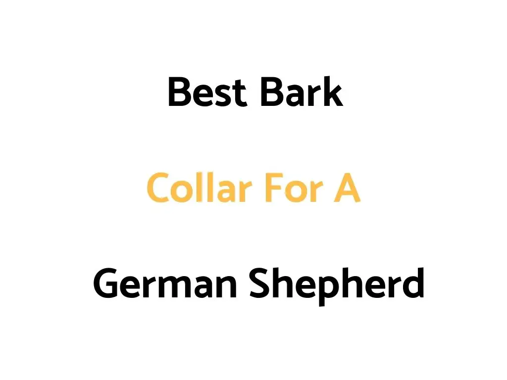 Best Bark Collar For A German Shepherd