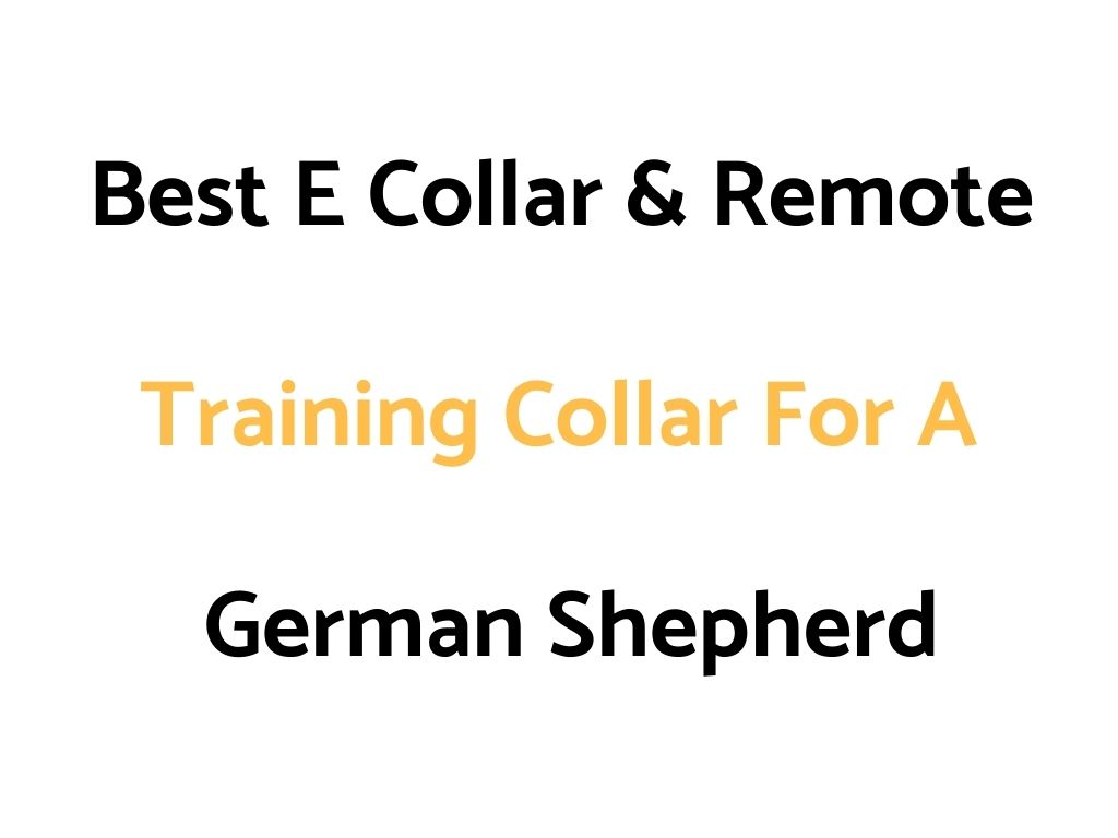 Best E Collars & Remote Dog Training Collars For A German Shepherd