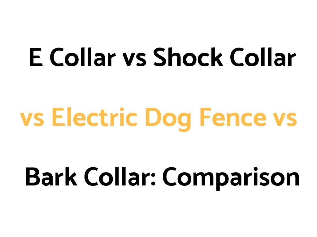 E Collar vs Shock Collar vs Electric Dog Fence vs Bark Collar: Comparison