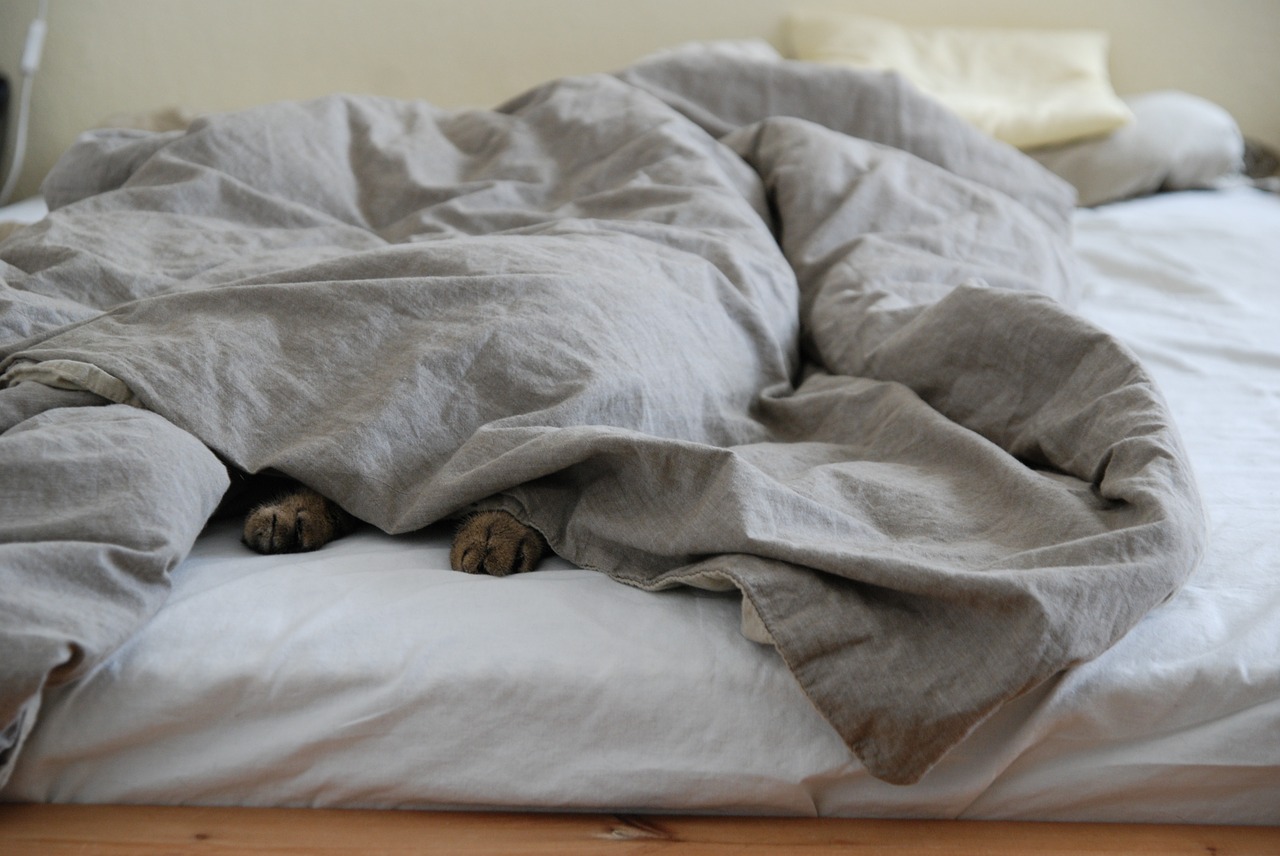 German Shepherd Blankets Quilt Comforter Duvet Covers Bed
