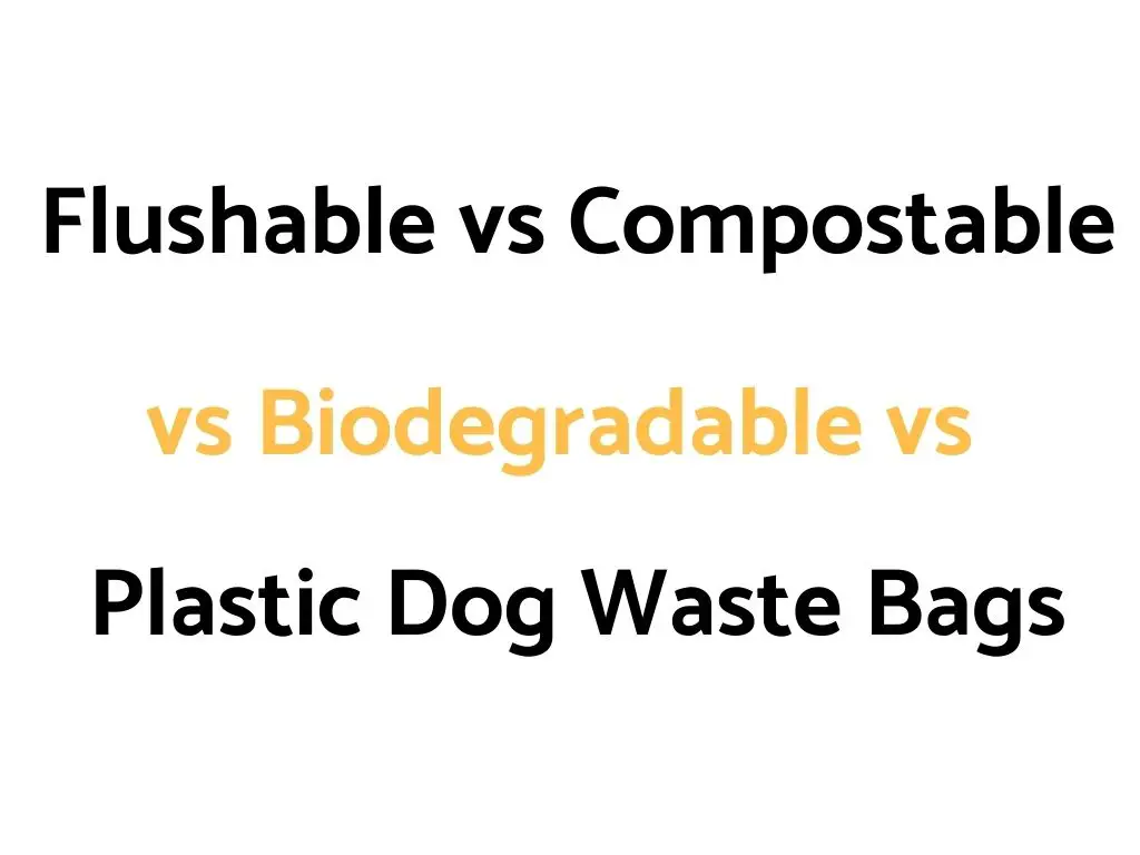 Flushable vs Compostable vs Biodegradable vs Plastic Dog Poop/Waste Bags: Comparison, & Which Is Best?