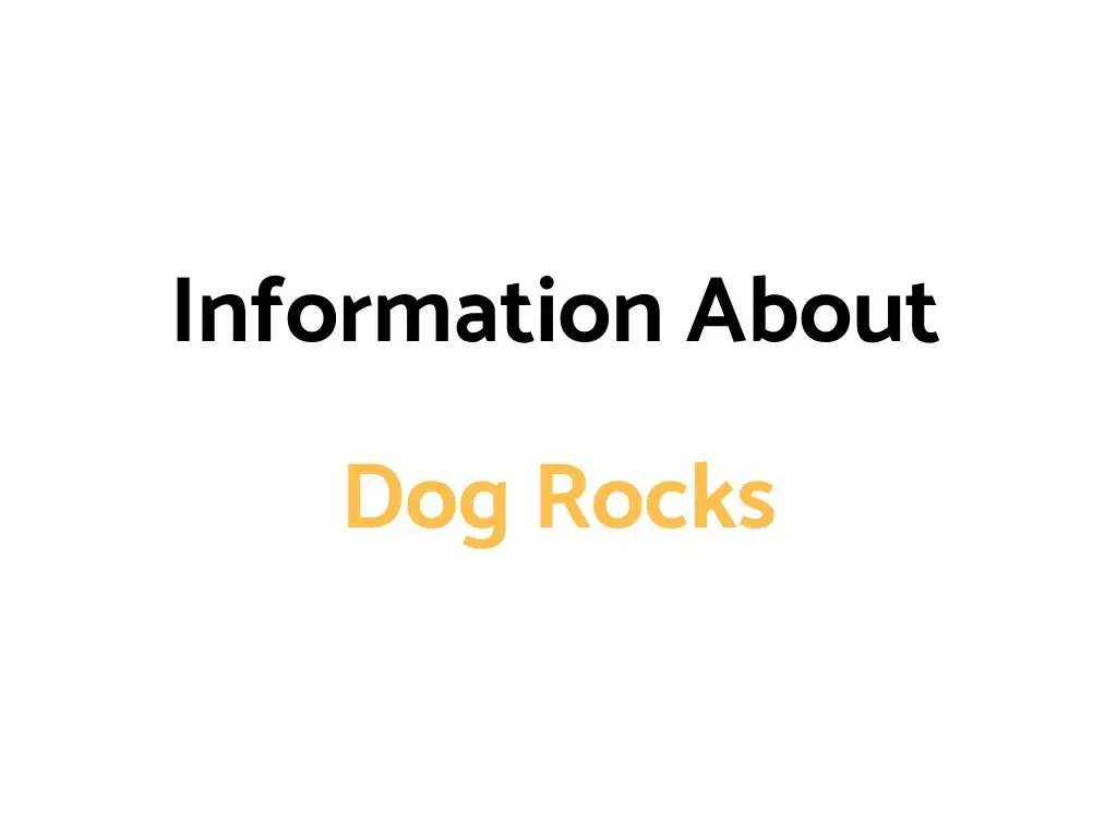 Do Dogs Rocks Really Work, Are They Safe, & What Are The Side Effects?
