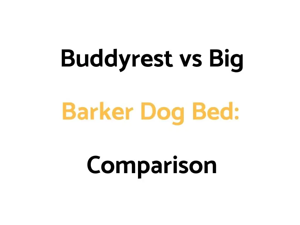 Buddyrest vs Big Barker Orthopedic Memory Foam Dog Bed: Comparison
