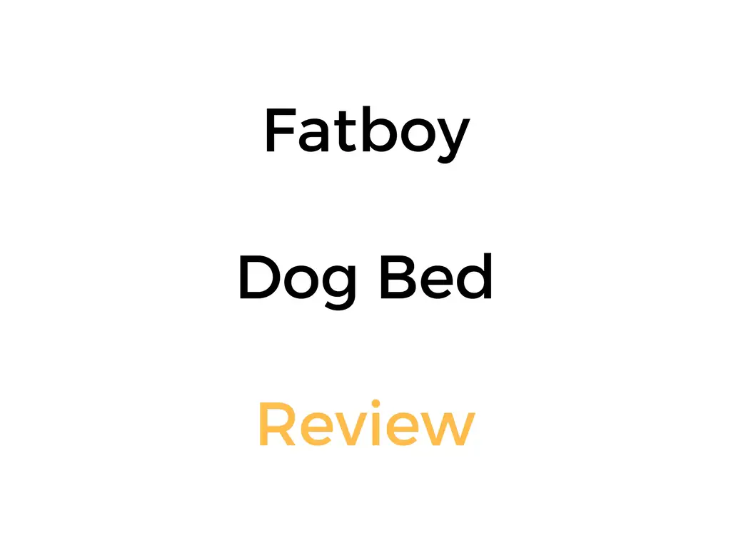 Fatboy Doggie Lounge Dog Bed Review