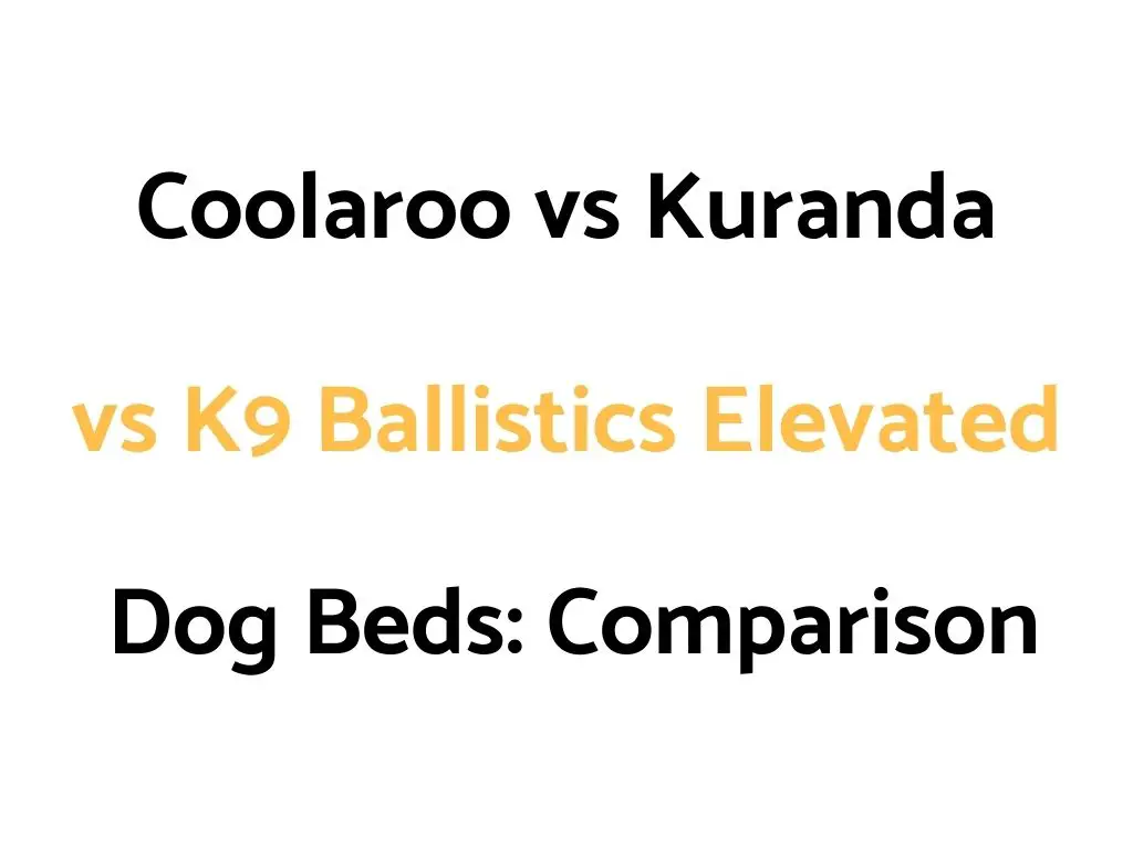 Coolaroo vs Kuranda vs K9 Ballistics Elevated Dog Beds: Comparison