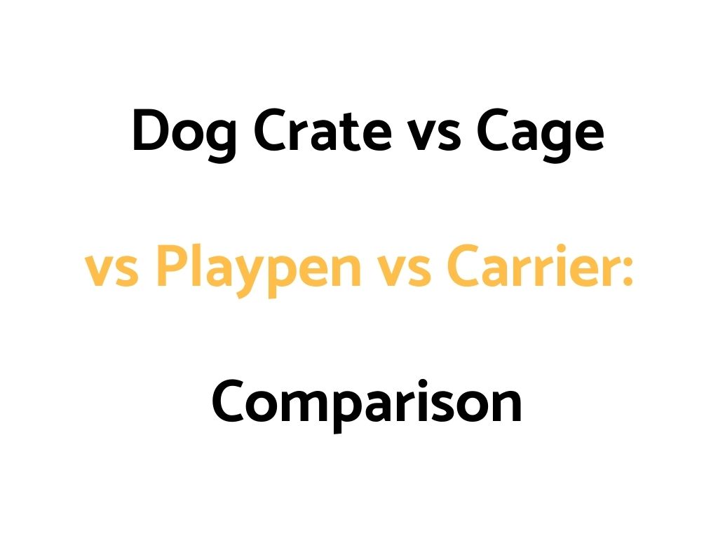 Dog Crate vs Cage vs Playpen vs Carrier: Comparison
