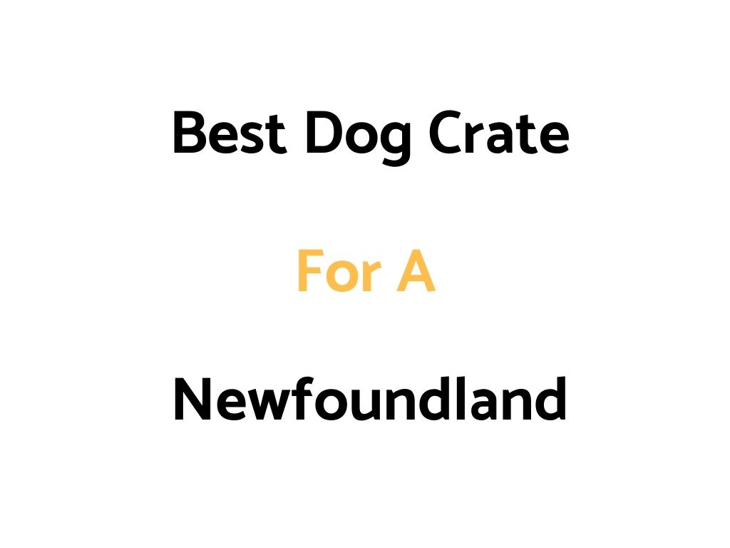 Best Dog Crate For A Newfoundland: Top Rated, & Sizes