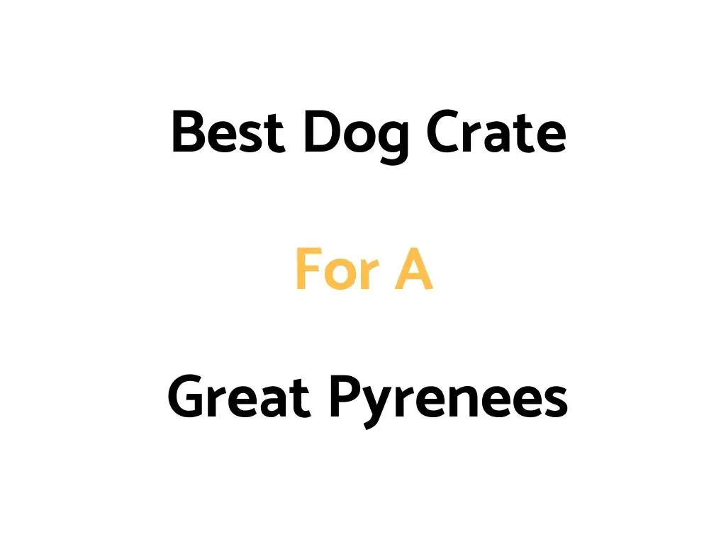 Best Dog Crate For A Great Pyrenees: Top Rated, & Sizes