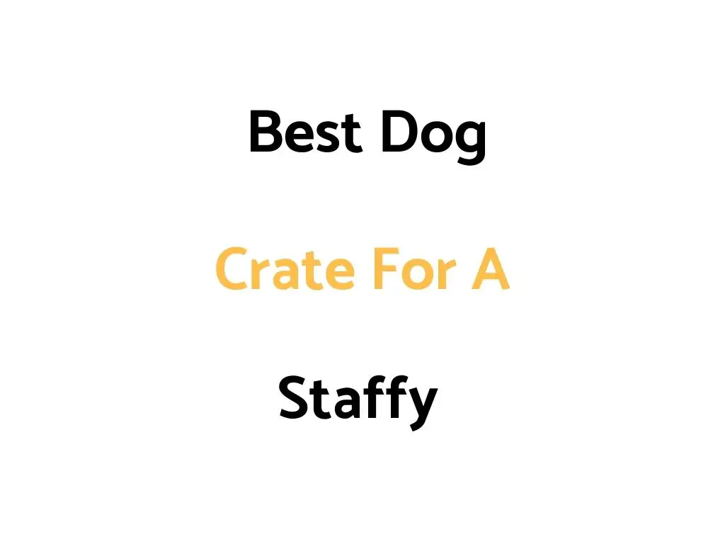 Best Dog Crate For A Staffy: Top Rated, & Sizes