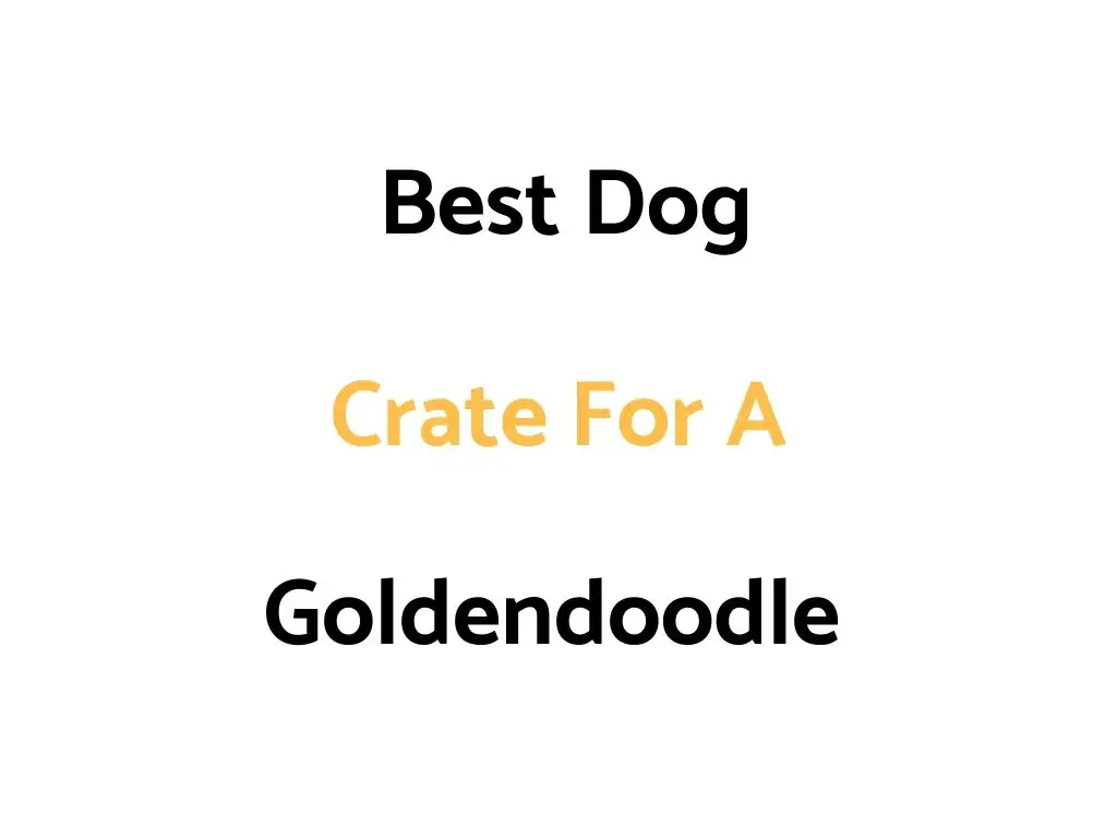 Best Dog Crate For A Goldendoodle: Top Rated, & Sizes
