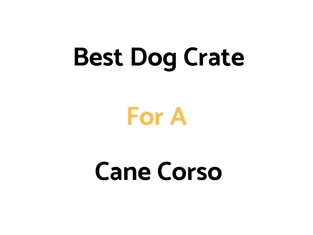 Best Dog Crate For A Cane Corso: Top Rated, Sizes