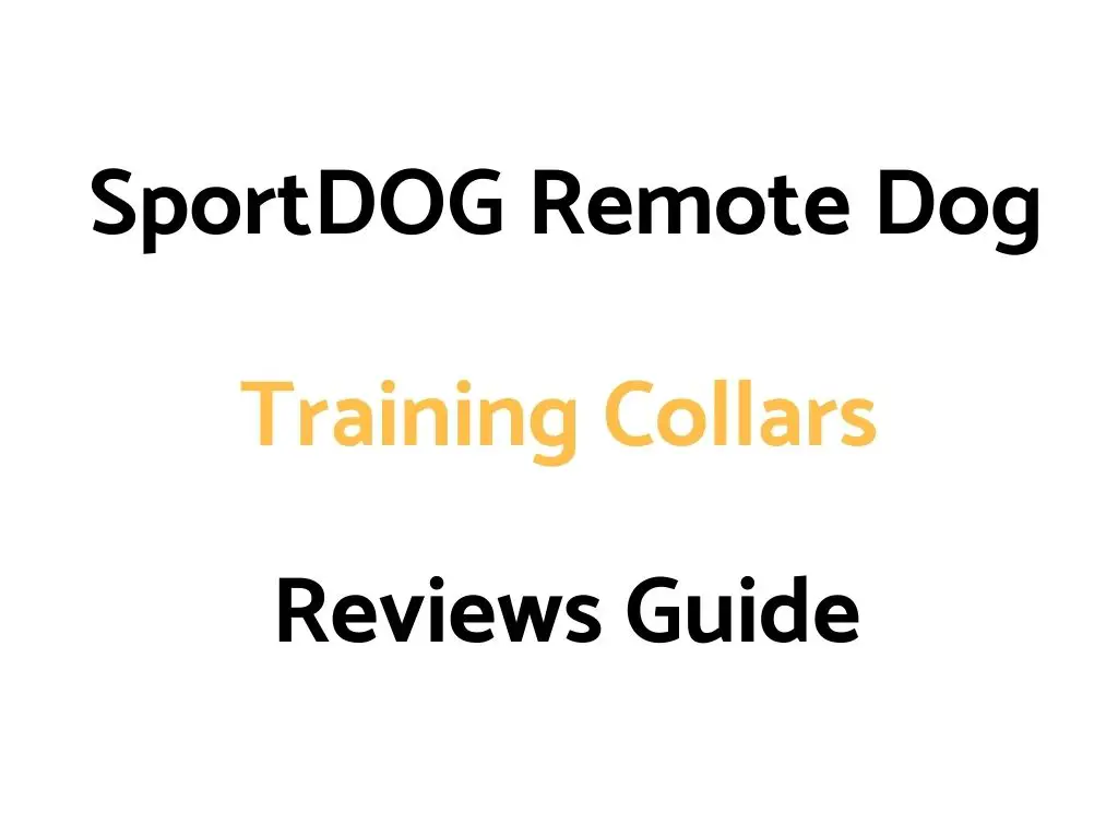SportDOG Remote Dog Training Collars Reviews Guide