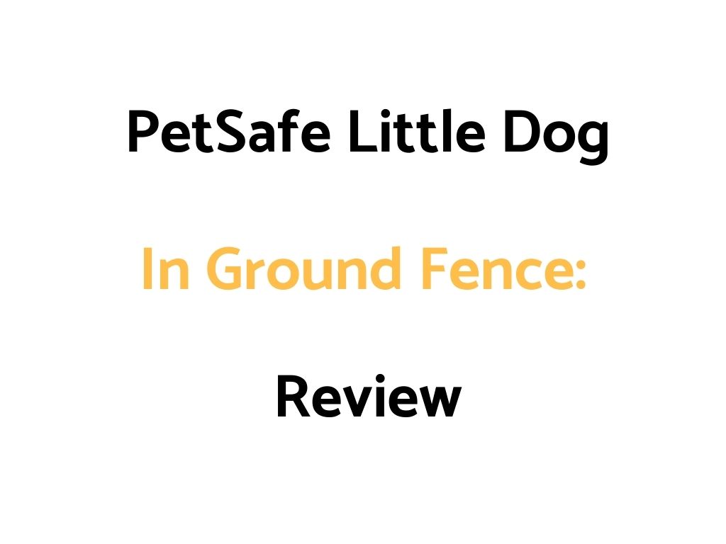 PetSafe Little Dog In Ground Fence Review