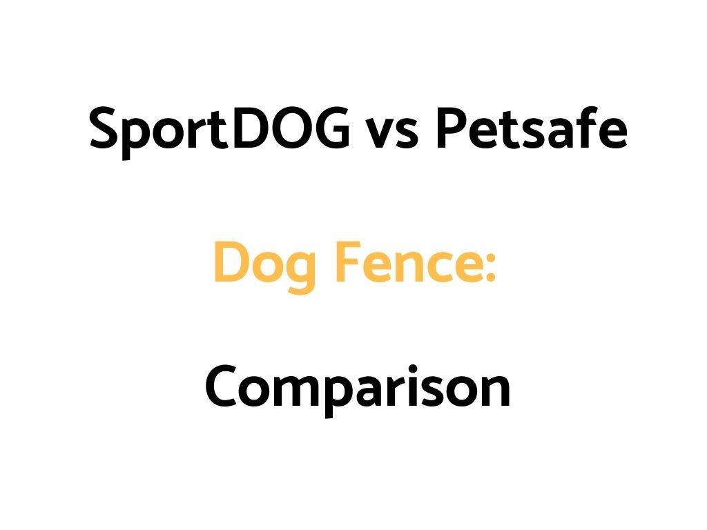 SportDOG vs Petsafe Dog Fence: Comparison, & Which Is Better?