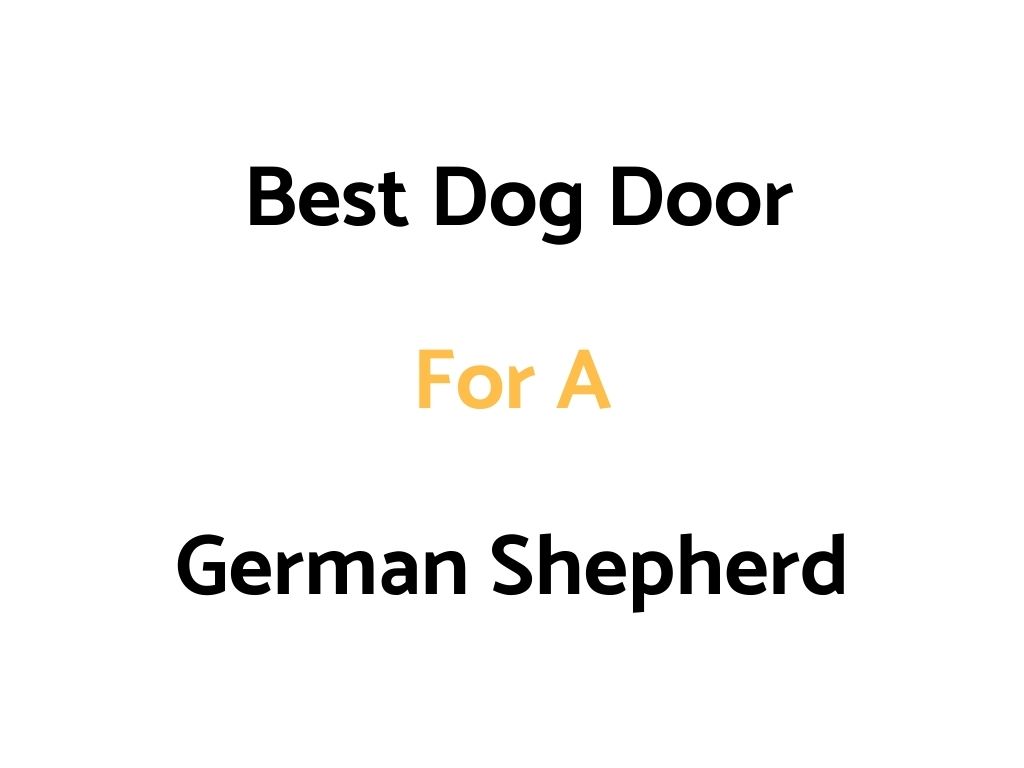 Best Dog Doors For German Shepherd Dogs & Puppies