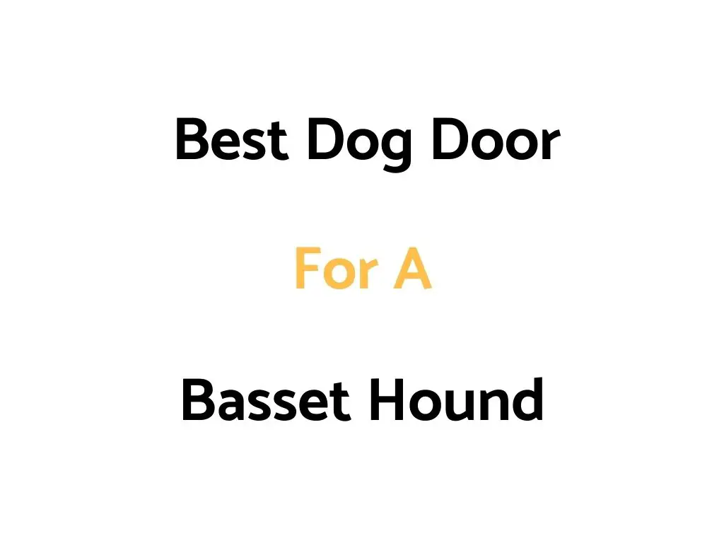 Best Dog Doors For Basset Hound Dogs & Puppies