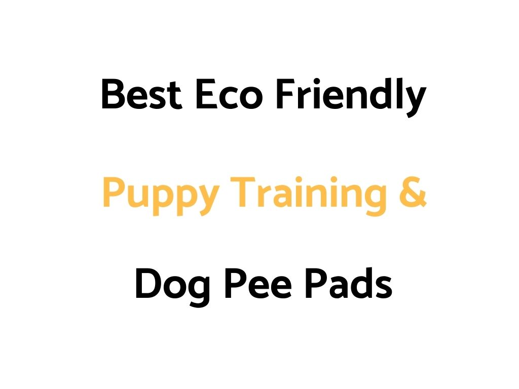 Best Eco Friendly Puppy Training & Dog Pee Pads