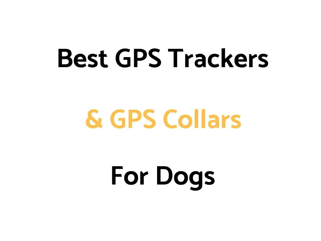 Best GPS Trackers & GPS Collars For Dogs