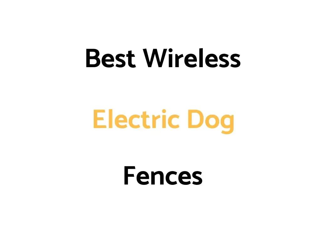 Best Wireless Electric Dog Fences