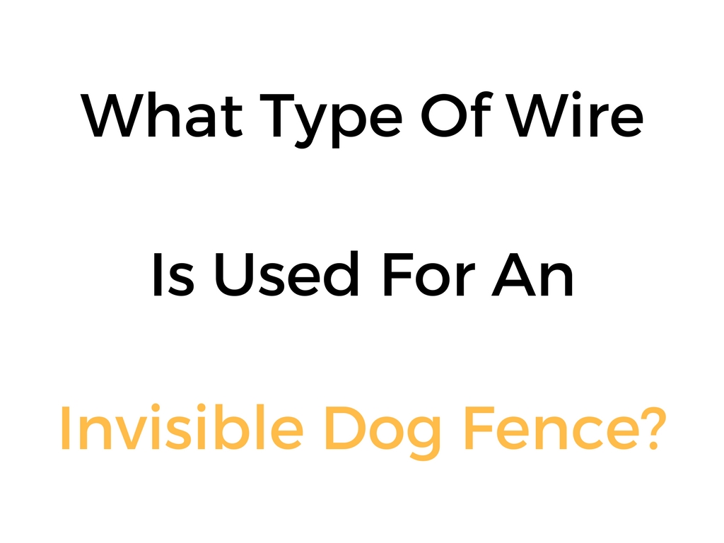 dog fence wire