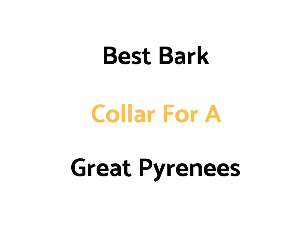 Best Bark Collar For A Great Pyrenees