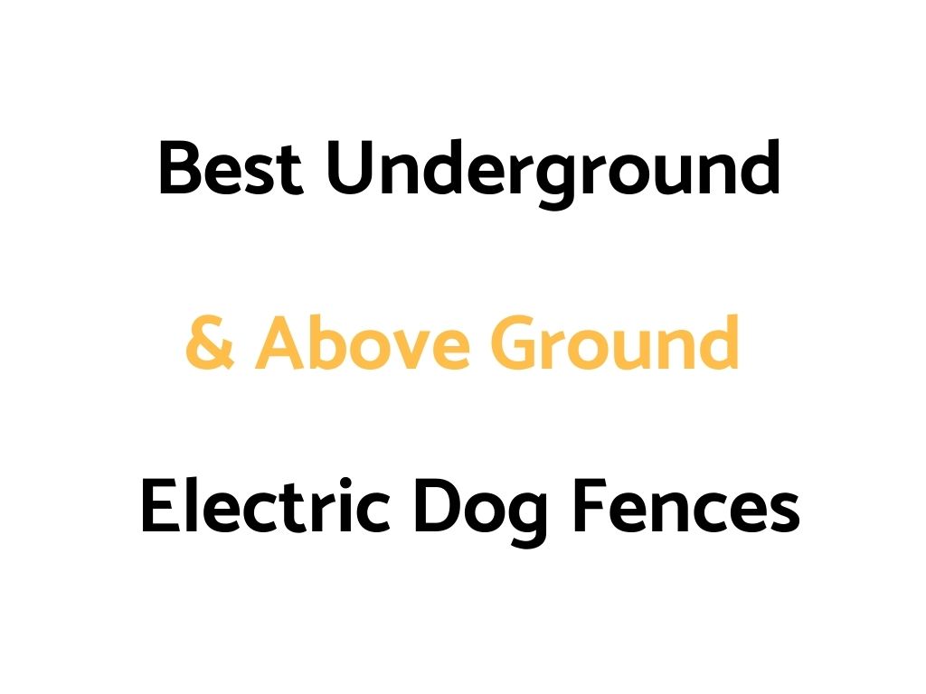 Best Underground & Above Ground Electric Dog Fences