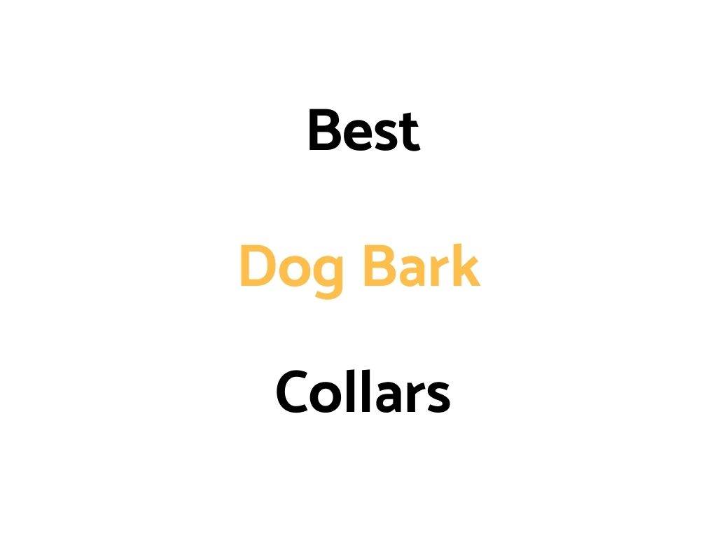 Best Dog Bark Collars