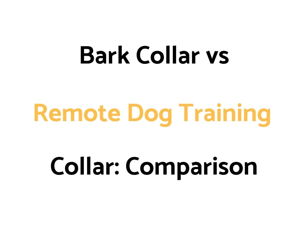 Bark Collar vs Remote Dog Training Collar: Comparison