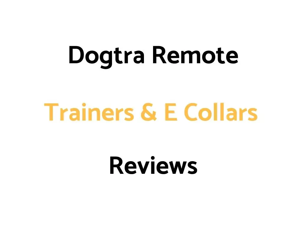 Dogtra Remote Trainers & E Collars Reviews Guide
