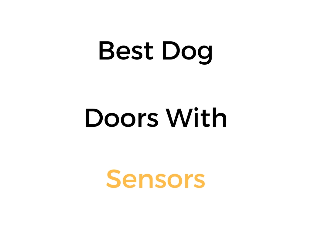 Best Dog Doors With Sensors Reviews Buyer S Guide