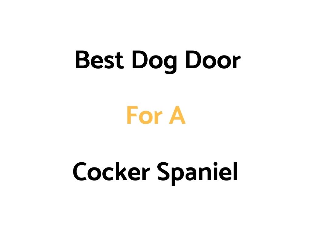 Best Dog Doors For Cocker Spaniel Dogs & Puppies