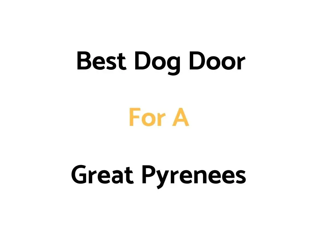 Best Dog Doors For Great Pyrenees Dogs & Puppies