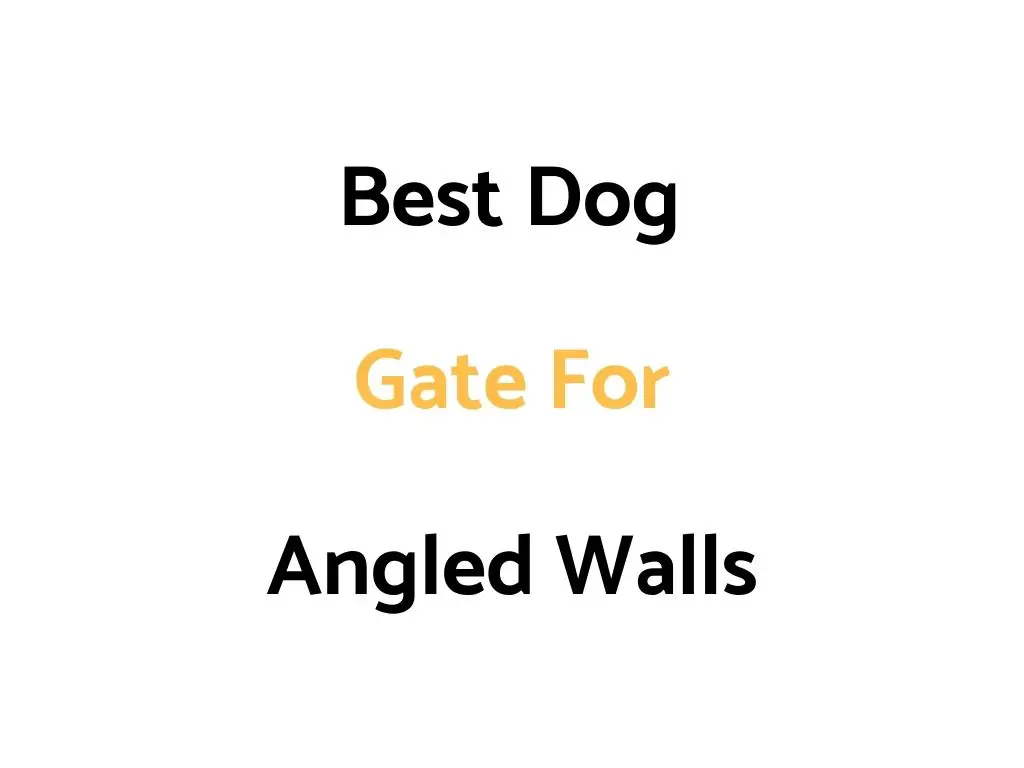 Best Dog Gates For Angled Walls