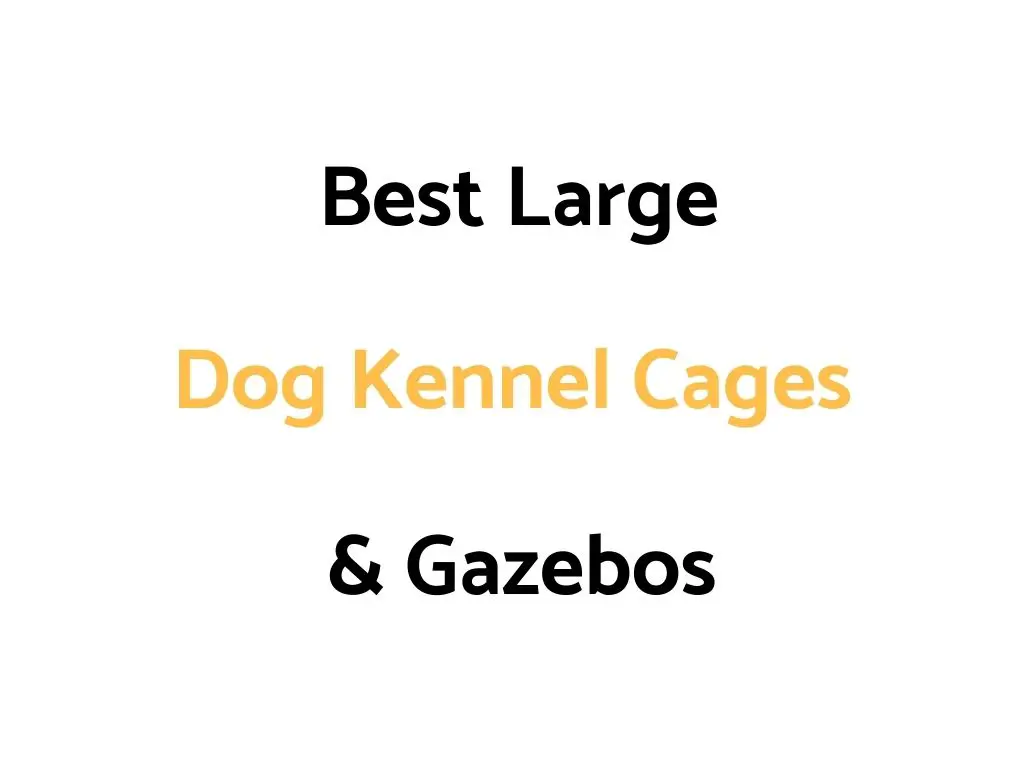 Best Large Dog Kennel Cages & Gazebos