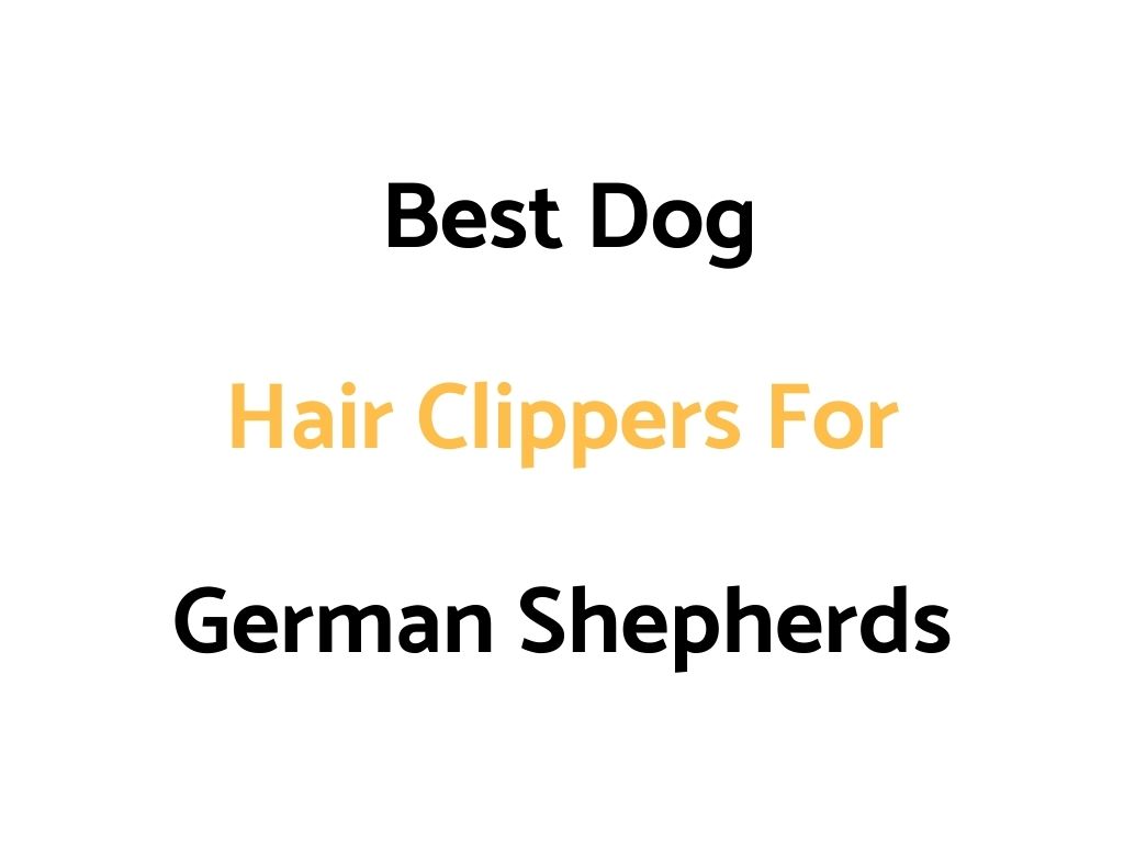 Best Dog Hair Clippers For German Shepherds