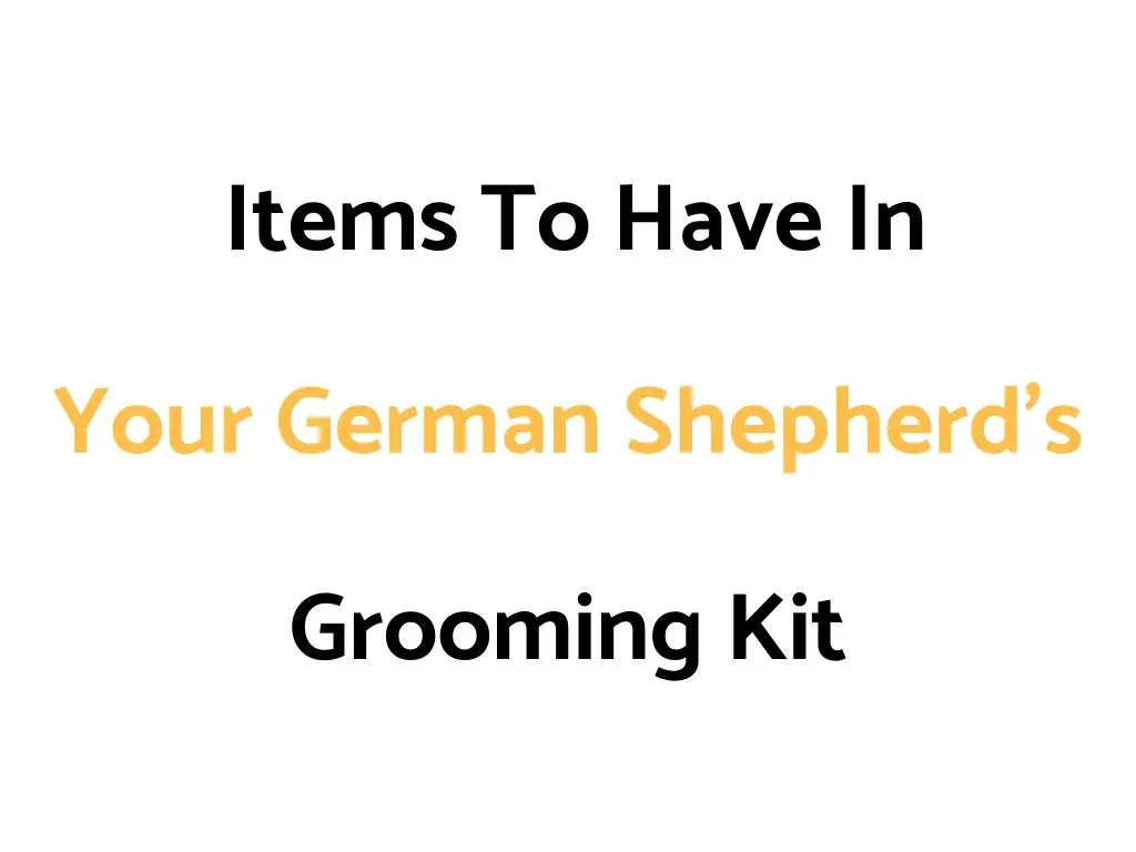 Items To Have In Your German Shepherd's Grooming Kit