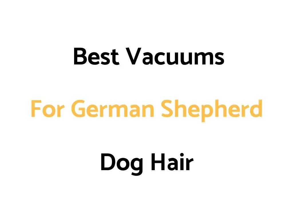 Best Vacuums For German Shepherd Dog Hair