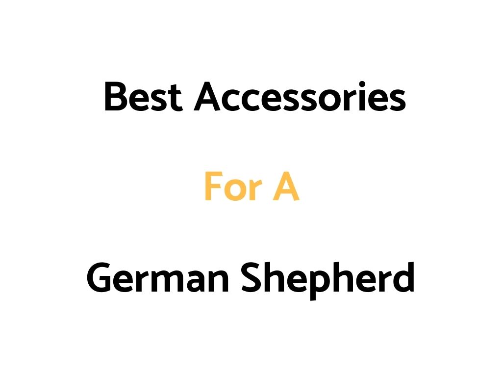 Best Accessories For A German Shepherd Dog or Puppy