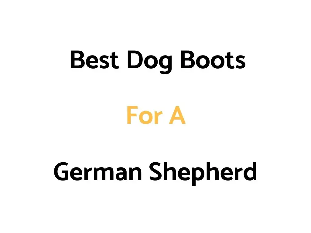Best Dog Boots For A German Shepherd Dog Or Puppy