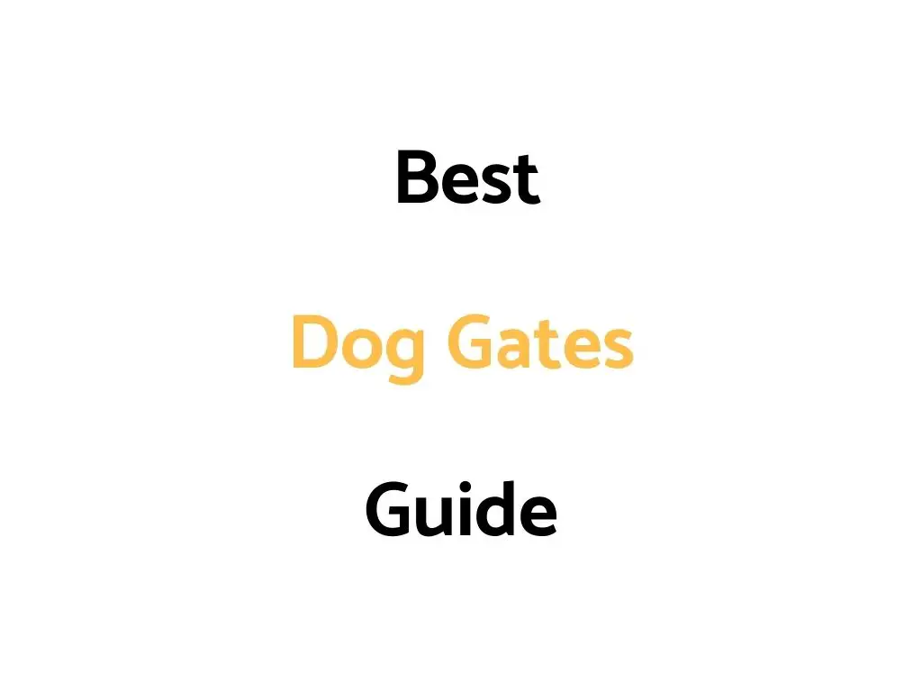 Best Dog Gates
