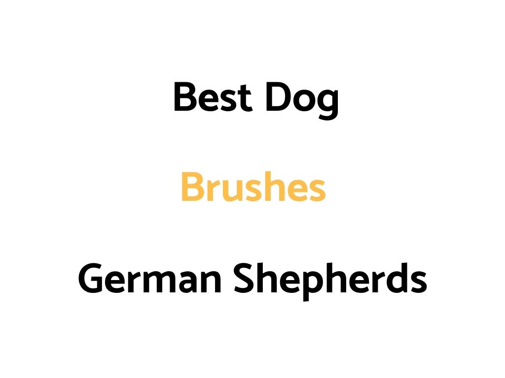 Best Brushes For German Shepherd Dogs & Puppies