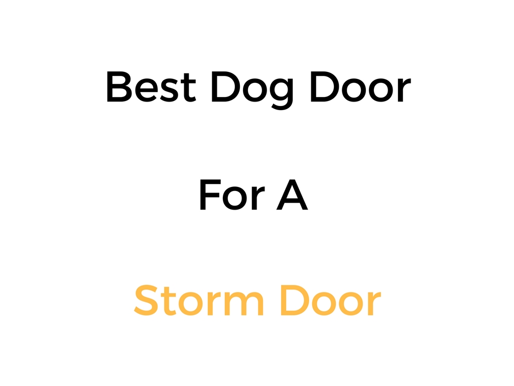 Best Dog Door For A Storm Door Reviews Buyer S Guide