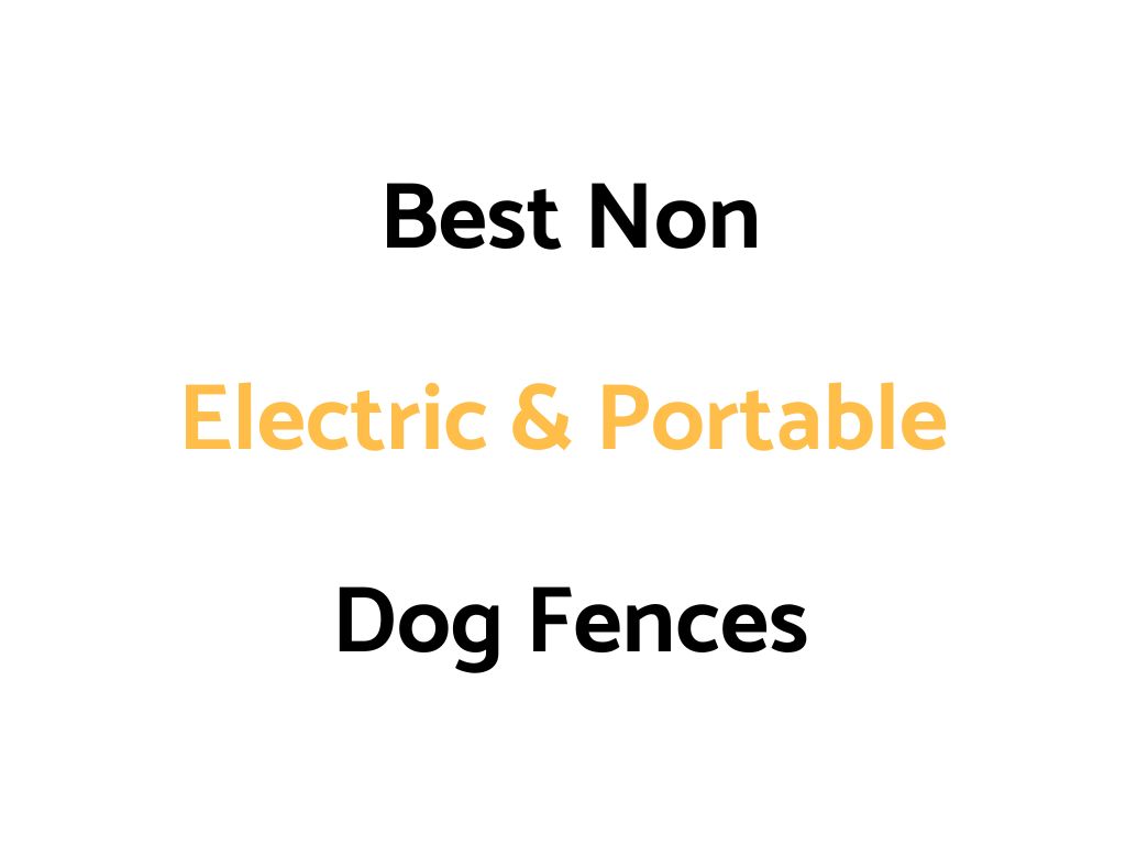 Best Non-Electric & Portable Dog Fences