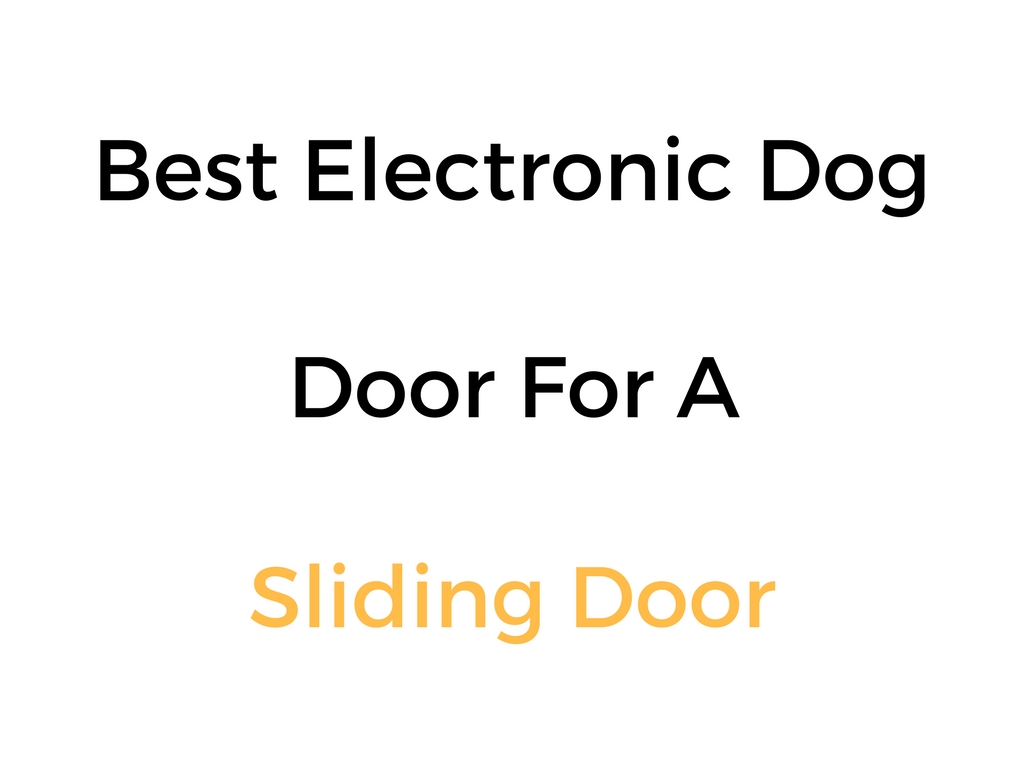 Best Electronic Dog Door For A Sliding Glass Door Or Patio Door