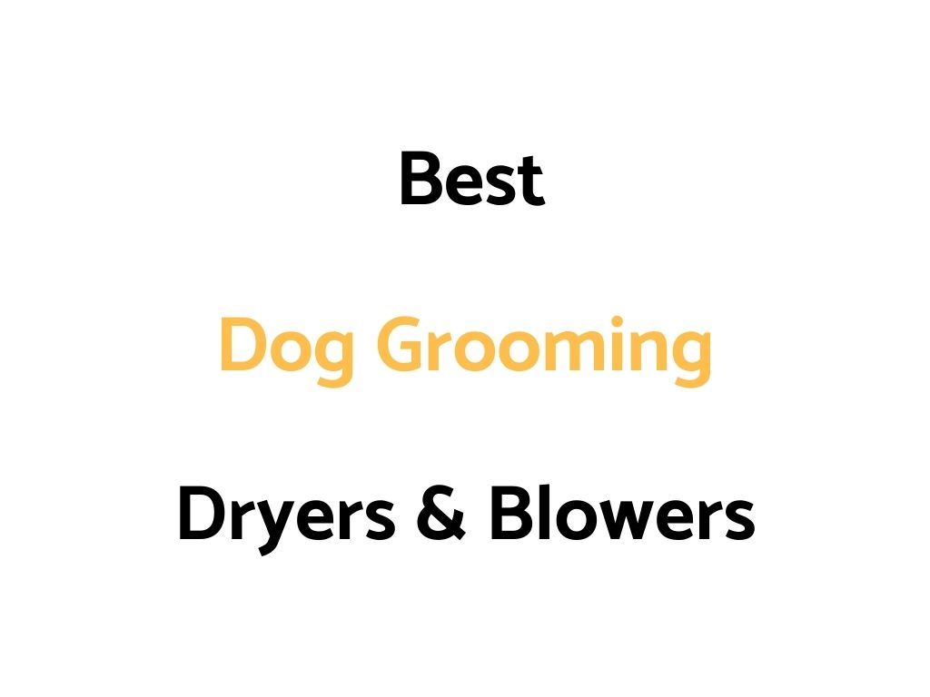 Best Dog Grooming Dryers & Blowers