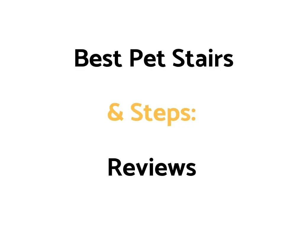 Best Pet Stairs & Steps: Reviews, & Top Rated List